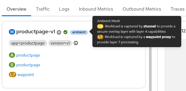 Workloads Captured by Ambient