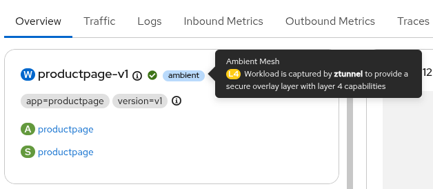 Workload Captured by Ambient